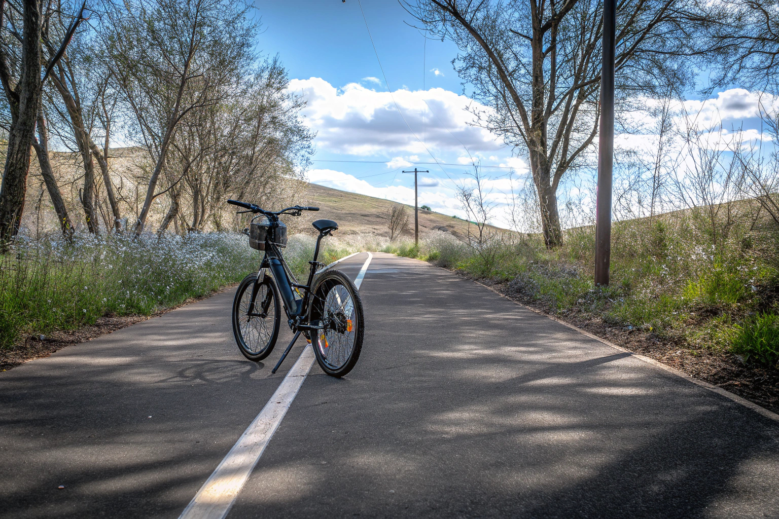 Ein E-Bike auf einem malerischen Radweg, umgeben von Natur. E-Bike auf einem Radweg