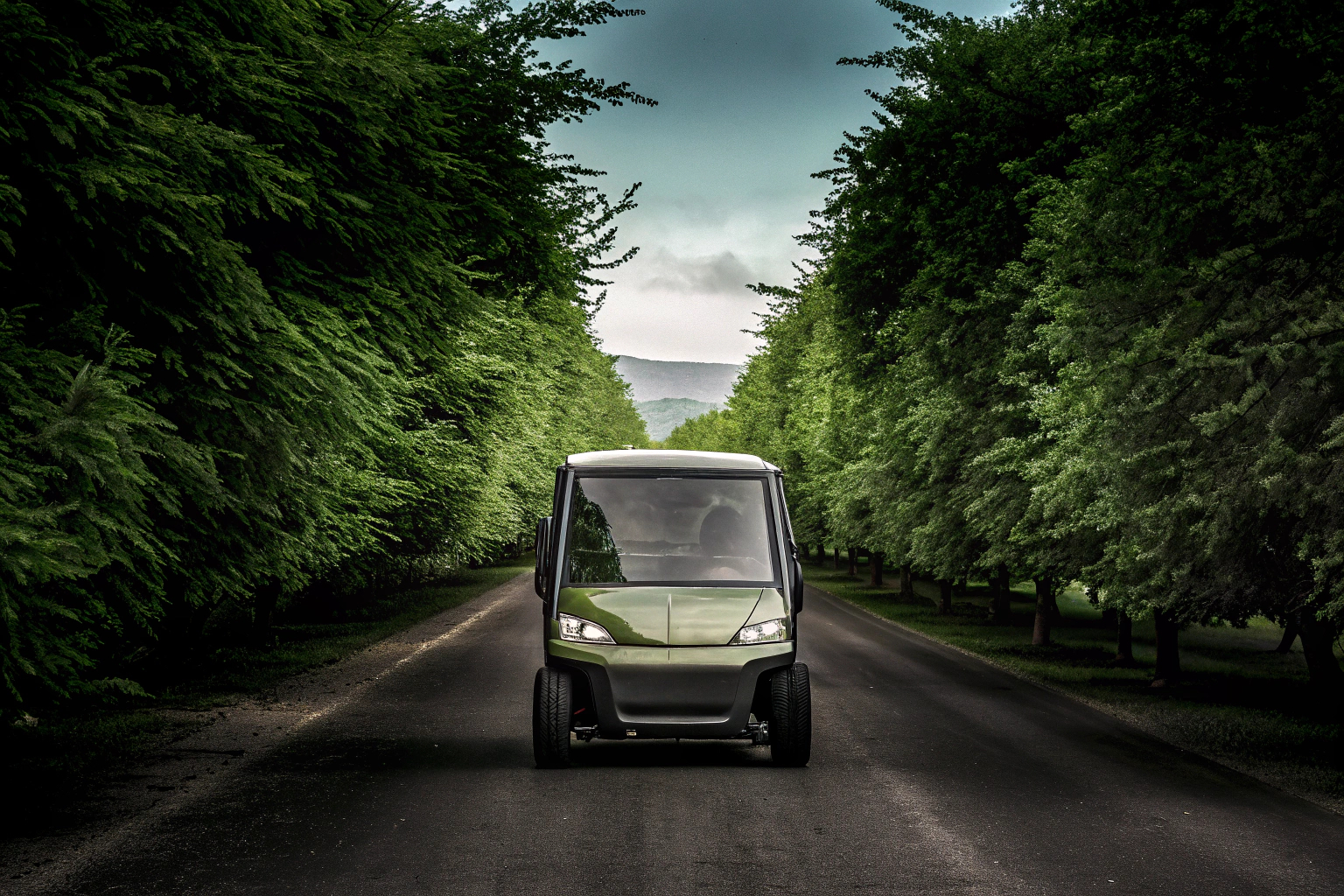 Ein modernes Elektroauto auf einer Straße, umgeben von Natur. Elektroauto auf der Straße