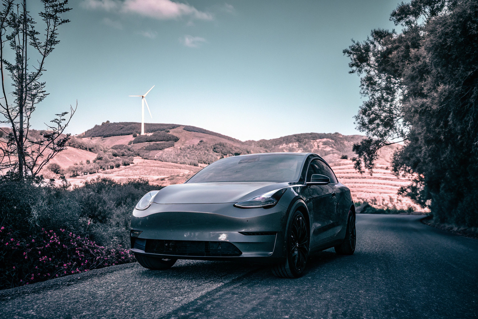 Ein modernes Elektroauto in einer nachhaltigen Umgebung. Elektroauto in der Natur