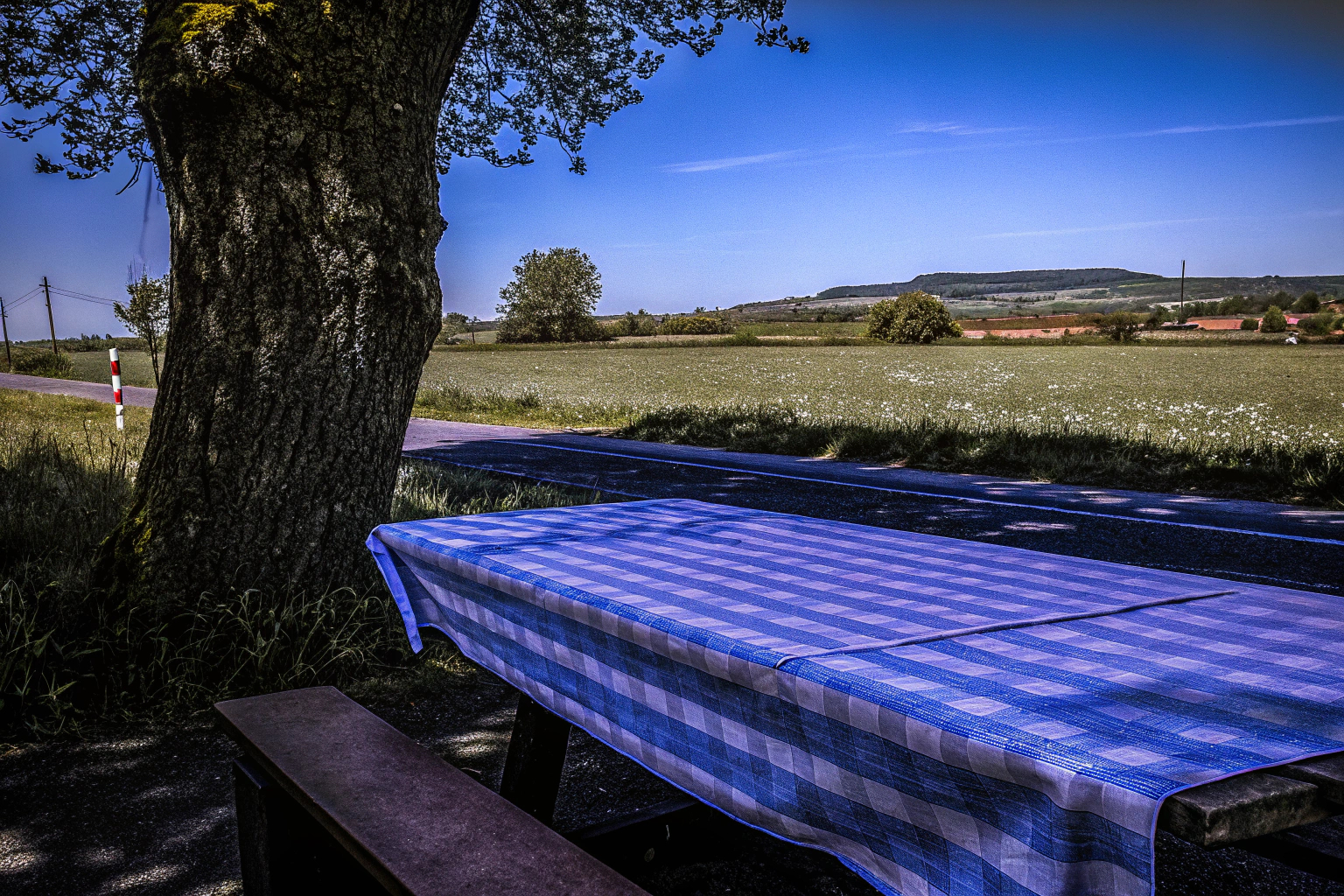 Komfortables Reisen mit Sitzkissen