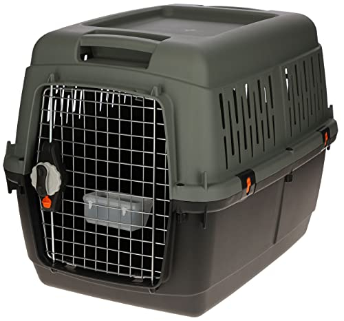 Kerbl Transportbox Eco