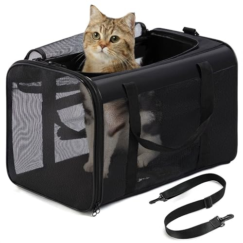 Conlun Katzentransportbox