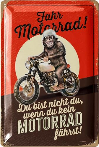 LANOLU Retro Blechschild