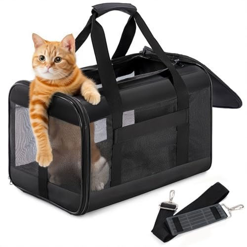 Conlun Katzenboxe Flugzeugtauglich